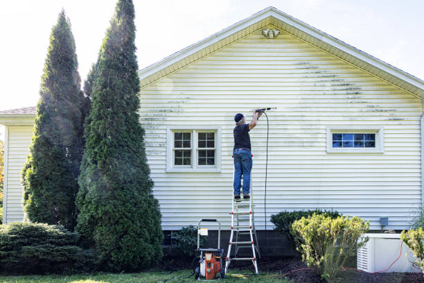 Best Gutter Cleaning in Fort Washakie, WY